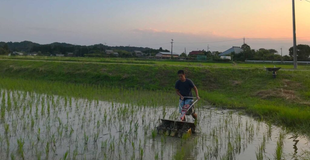 里農園の田植え